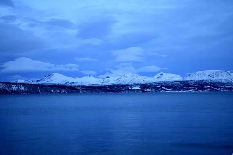 Snow-covered mountains across a fjord at blue hour